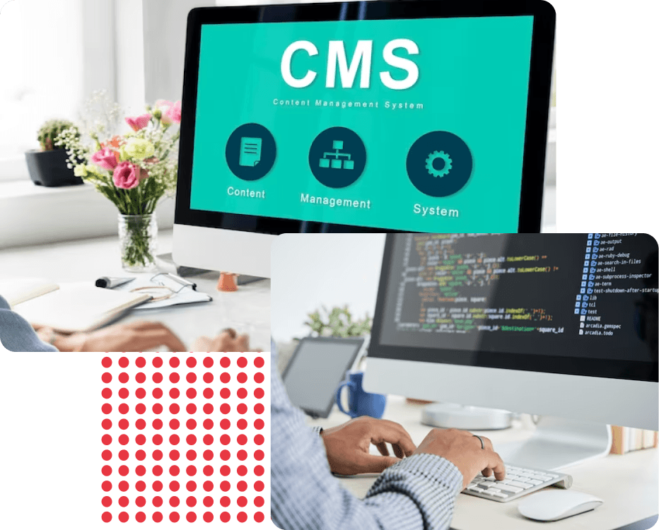 Web & CMS Development