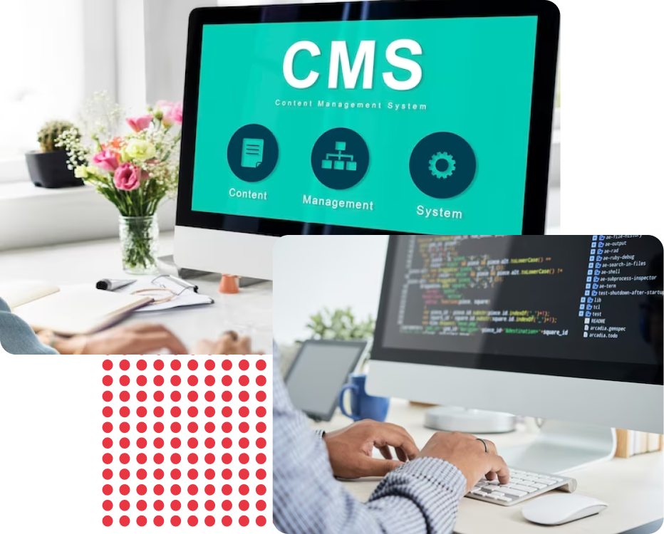 Web & CMS Development | Technomium | Technomium